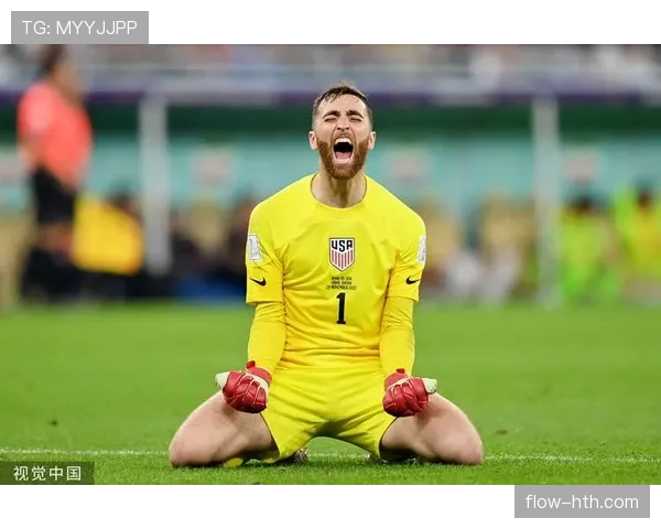 荷兰队防守稳固,世界杯征程迎来新突破 荷兰队防守稳固,世界杯征程迎来新突破